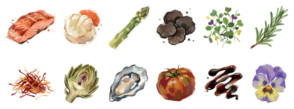Gourmet food ingredients icons set. Collection of luxury food items. Salmon, scallops, asparagus, truffle, microgreens, rosemary, saffron, artichoke, oyster, tomato, balsamic, pansy flower