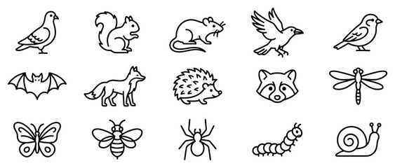 Obraz premium Wild animals and insects icons set. Nature, wildlife symbols. Pigeon, squirrel, mouse, bird, bat, fox, hedgehog, raccoon, dragonfly, butterfly, bee, spider, caterpillar, snail. Outline