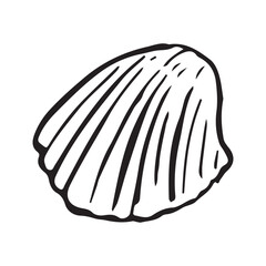Round cockle shell doodle, black ink sketch. Ribbed cardium clam bivalve outline, compact seafood shell, hand drawn vintage vector clipart isolated white. © Evgeniya Platonova