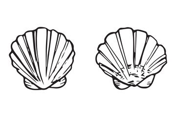 Scallop shell pair set doodle, black ink sketch. Two fan shells collection outline, beach seafood symbol, hand drawn vintage vector clipart isolated white. © Evgeniya Platonova