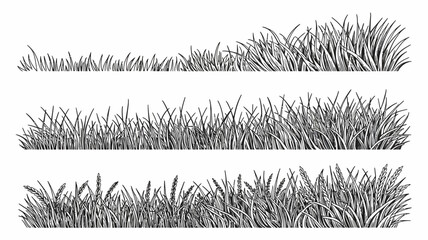 three rows of grass line illustration black white botanical natural landscape outdoor simple graphic design pattern border decoration ornament nature plant © Peradox