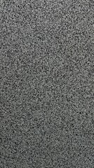 Fototapeta premium Detailed view on terrazzo cement background with small black and white stone grains