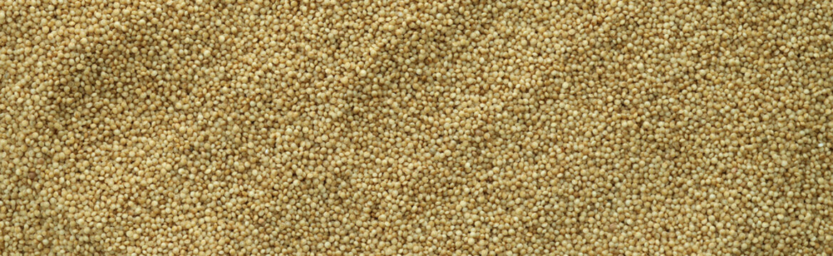 Detailed view on dry amaranth grains in big pile on table close up