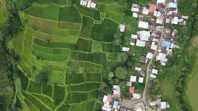Aerial drone view of village and green farmland in Maharashtra India
Rural village surrounded by agricultural fields aerial photography