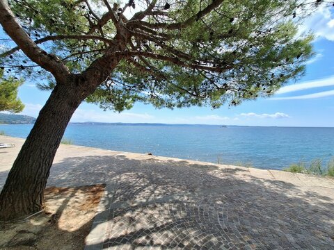 Shaded seaside view at Lungomare Barcola in Trieste, Italy
