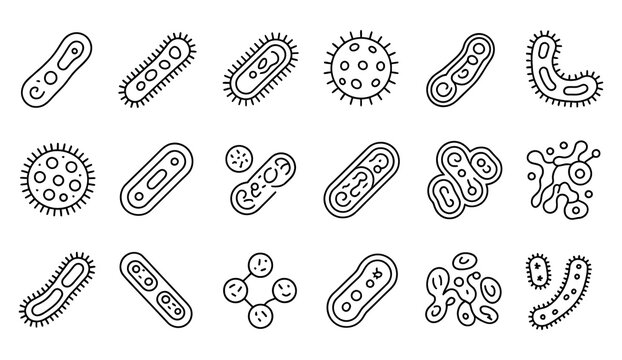 Bacteria probiotics and virus cells outline vector icons isolated on transparent background, microbiology organisms, microbial research, healthcare science illustration, vector, designs