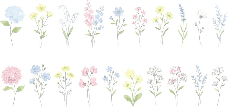 Set of elegant hand drawn wildflower sketches with soft watercolor washes featuring lavender hydrangea and field flowers isolated on white background for wedding invitation design.