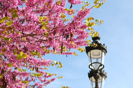 Paris, France