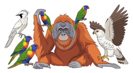 Fototapete Zoo Orangutan with colorful birds and eagle in cartoon style  © mustari