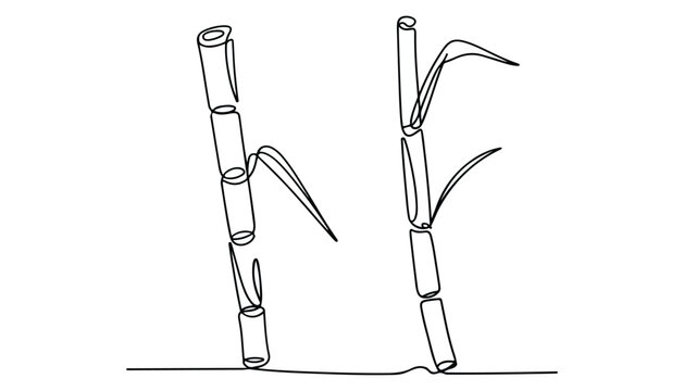 One continuous line illustration of an sugarcane tree , isolated on white background.