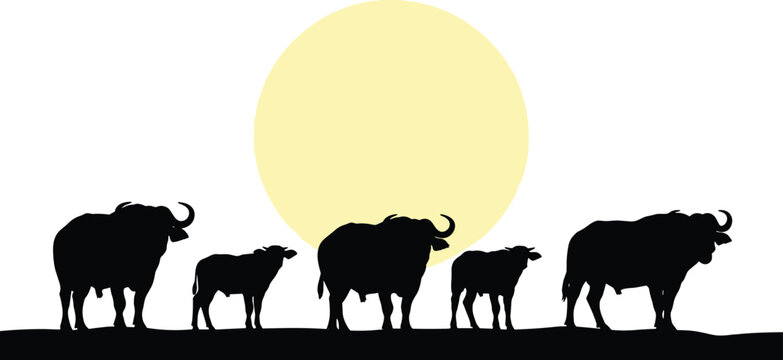 African cape buffalo silhouette herd walking on savanna landscape vector illustration with large yellow sun isolated on white background for safari design