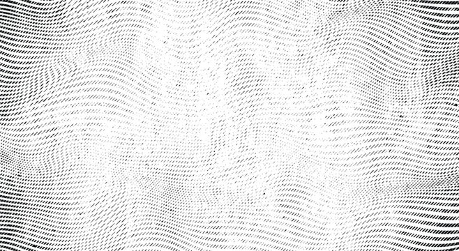Abstract vector grunge undulating halftone lines distressed woodcut texture. Fine curved crosshatch monochrome engraving on a white background