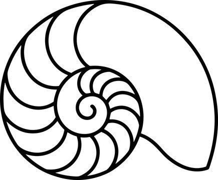 Nautilus Shell Outline - Geometric Spiral, Fibonacci Sequence, Marine Life