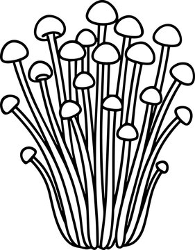 Enoki Mushrooms Line Art Illustration
