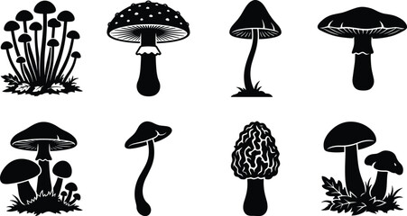 Mushroom silhouette icon collection set featuring black vectors of various fungi species like fly agaric morel and porcini on white background © Shaharia Shaharia