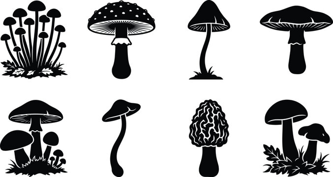 Mushroom silhouette icon collection set featuring black vectors of various fungi species like fly agaric morel and porcini on white background