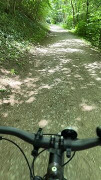Bicycle on woodland path surrounded by green forest nature in 4K