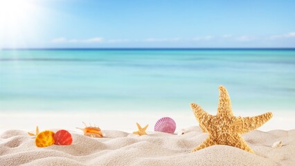sea shells and starfish on the beach