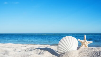 sea shells and starfish on the beach © Sasiliya