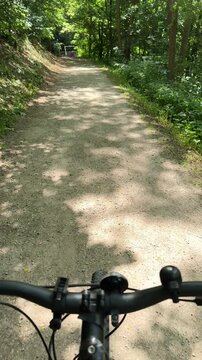 Bicycle on woodland path surrounded by green forest nature vertical