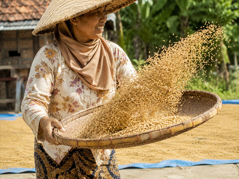 a female farmer wearing a straw hat, smiling away from the camera while holding a large winnowing tampah (bamboo tray) to separate rice grains from husks.