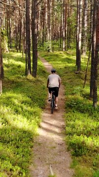 Mountain biking. Man ride bicycle on forest trail