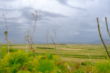 Fototapeta premium Spring Vegetation and Distant Hills of Lapathos