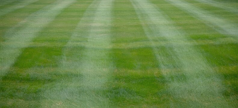 Close up view of lush green grass lawn with striped pattern background.