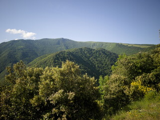 Obraz premium montagne verdi ricoperte da vegetazione fitta, con pendii ripidi e cielo limpido. Atmosfera naturale, ampia e luminosa