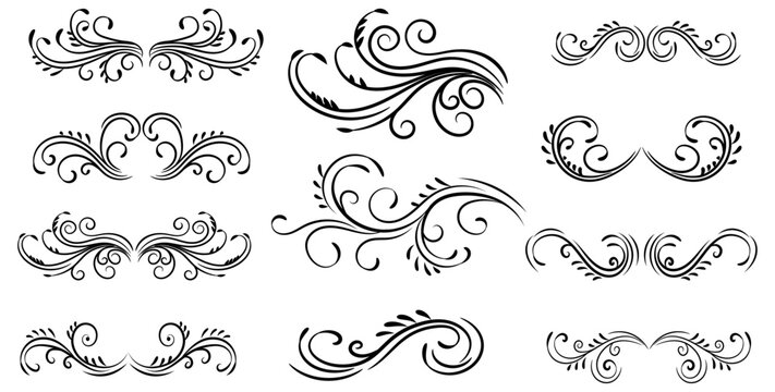 elegant flourish swirl decorative element vector set