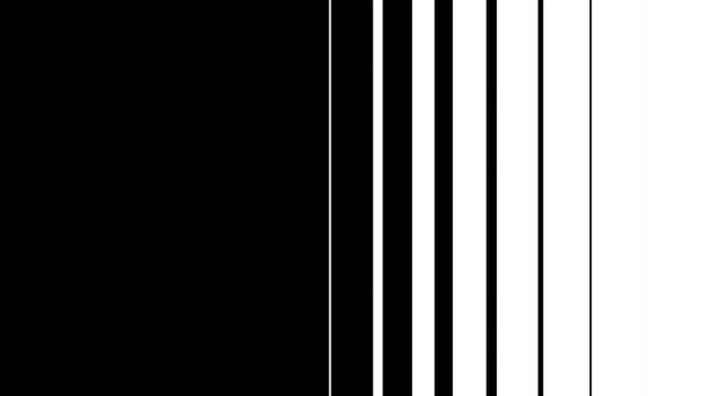 Black And White Lines Wipe Transition Set Animation. Vertical And Horizontal Bars Expanding, Sliding, Revealing And Covering The Screen. Clean Geometric Motion Graphics. Video Editing