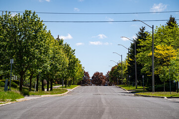 View of tree lined suburban street under blue sky. © Erman Gunes