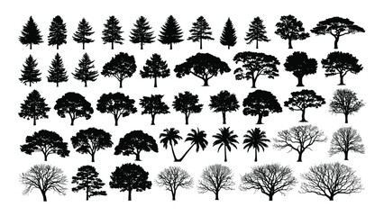 Tree silhouettes in a large collection display various species including conifers, deciduous trees, and tropical palms in black ink style. © Adam
