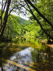 Fototapeta premium Beautiful nature photos. Spring of the River Bosna, Sarajevo