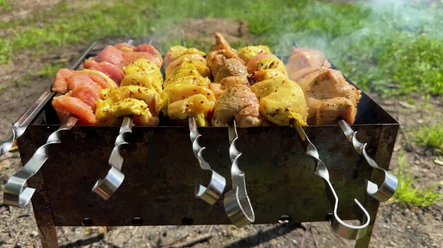 Chicken skewers marinated in a marinade and smoked over charcoal, summer food for an outdoor picnic