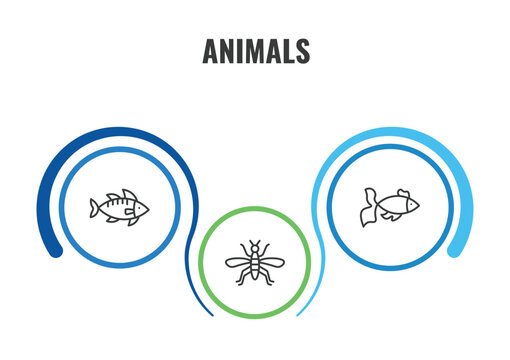 animals outline icon set. thin line zander, gold fish, mosquito icons. editable vector