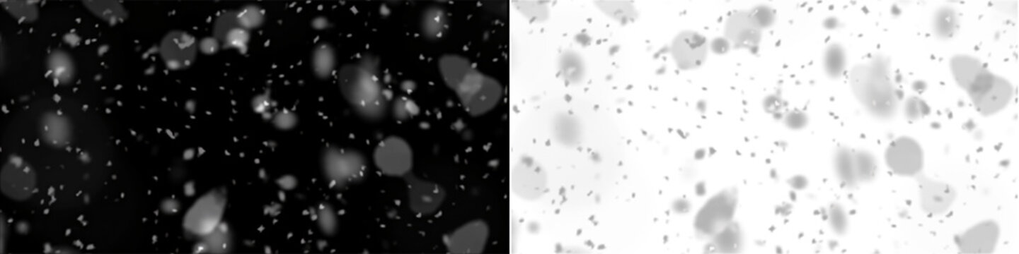 Dense floating white particles and dust speckles on transparent background for cinematic atmosphere and depth.