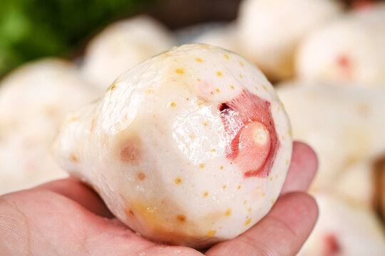 Fresh Taro Sprout with Red Shoots - Guangxi Lipu Taro