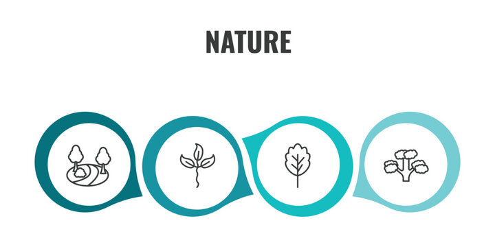 nature outline icon set. thin line sunny park, cuspicate, oak, pitch pine tree icons. editable vector