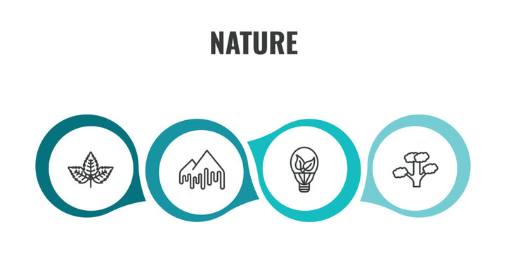 nature outline icon set. thin line straberry leaf, melting, led bulb, slippery elm tree icons. editable vector
