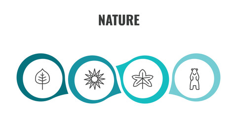 nature outline icon set. thin line cercis leaf, sol, grape leaf, polar icons. editable vector © Farahim