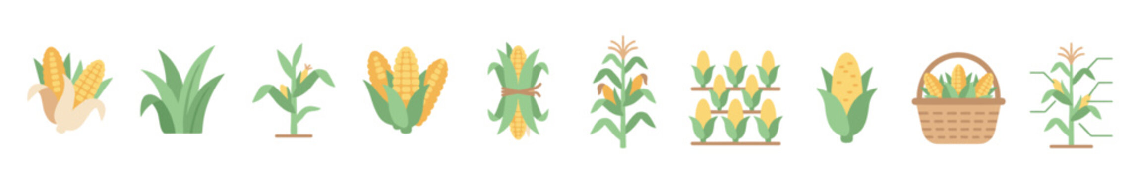 Corn cobs and plants are depicted in a variety of flat design illustrations showcasing growth, harvest, and agricultural concepts.