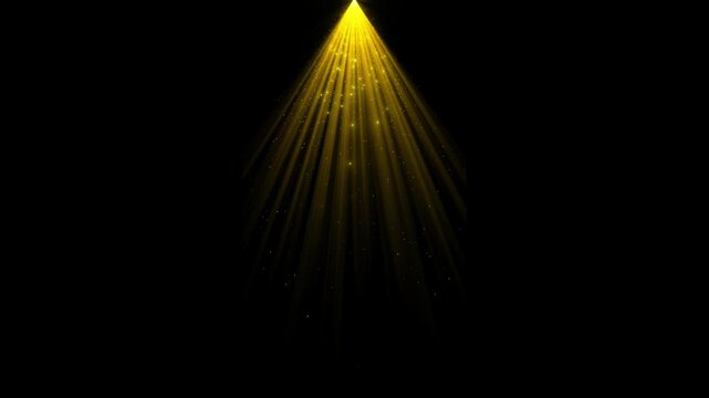 Shining Gold Sunburst Light Rays Loop Animation.