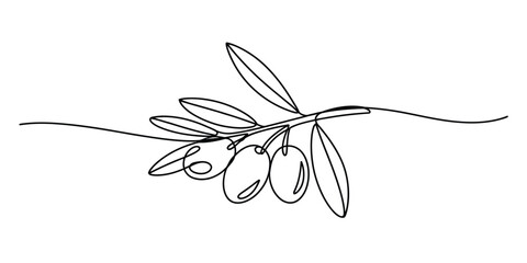 Continuous single line drawing of an olive branch with leaves and ripe fruit Vector, illustration © Nippon_Art Gallery