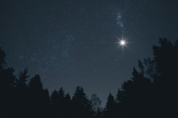 Fototapeta premium Starry night sky with bright star over dark forest silhouette and constellations.