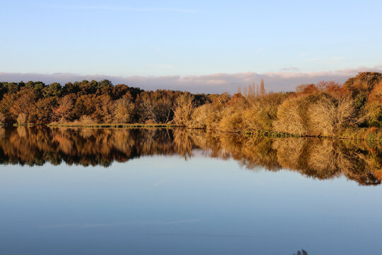 marais de Suscinio