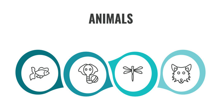 animals outline icon set. thin line goldfish, elephant on a ball, dragonflay, wolf icons. editable vector