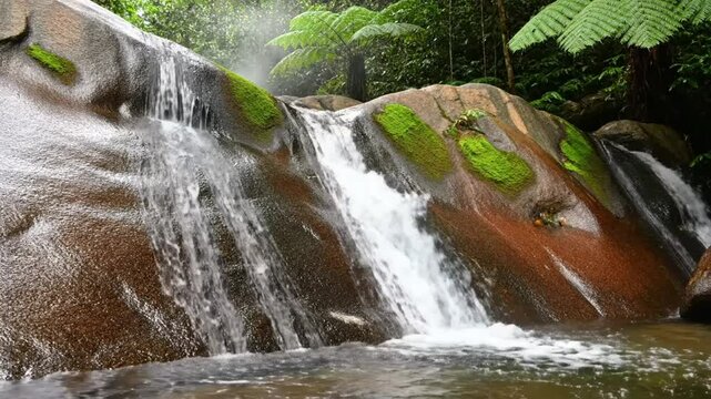Tranquil waterfall cascading over moss-covered rocks in a lush tropical rainforest environment, natural beauty