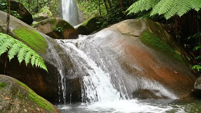 Tranquil waterfall cascading over smooth moss-covered rocks in lush green forest with natural ambient sound