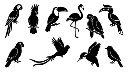 Tropical Bird Silhouette Set with Exotic Macaw Parrot Toucan Cockatoo Flamingo and Hornbill Characters for Linocut Woodcut Nature Vector Design © Hosneara
